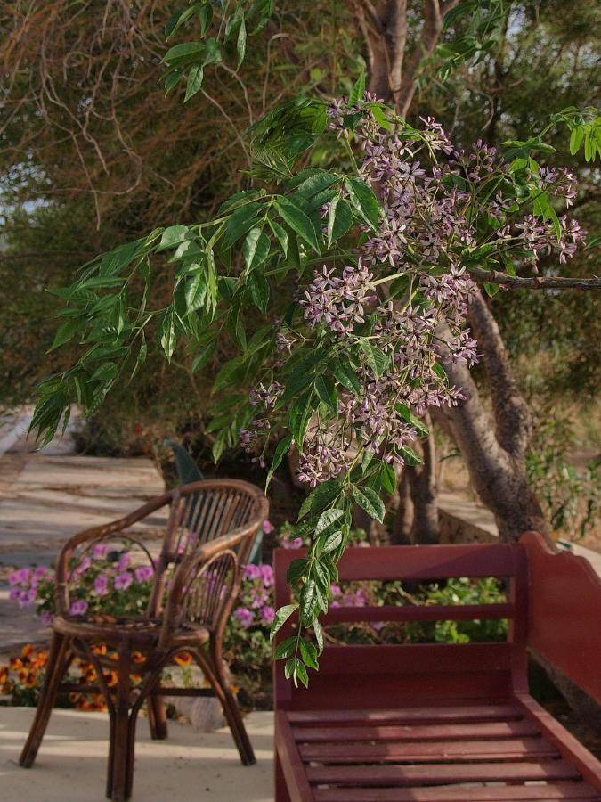 Flower And Crafts - The Eco Nature House Monolithos  Luaran gambar