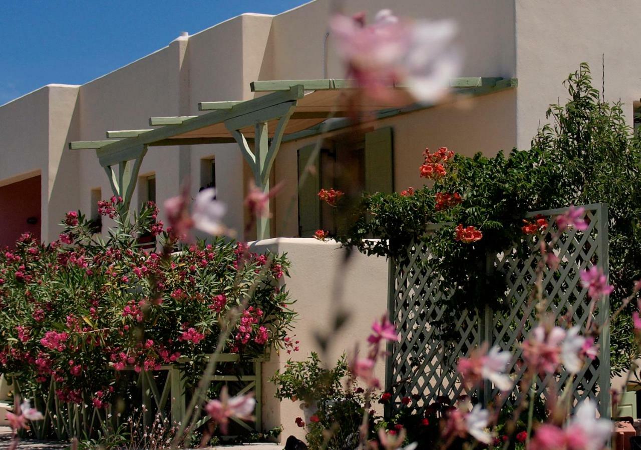 Flower And Crafts - The Eco Nature House Monolithos  Luaran gambar